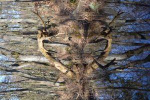 Verwirrung 95 € (60 x 80) - virtual art gallery Affeere