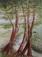 Bäume aquarell, virtual art gallery Affeere
