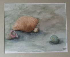 Muscheln aquarell, virtual art gallery Affeere