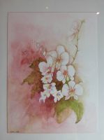 Orchideen aquarell, virtual art gallery Affeere